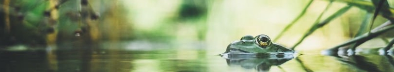 Headerbild Headerbild