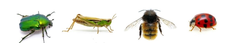 Headerbild Headerbild